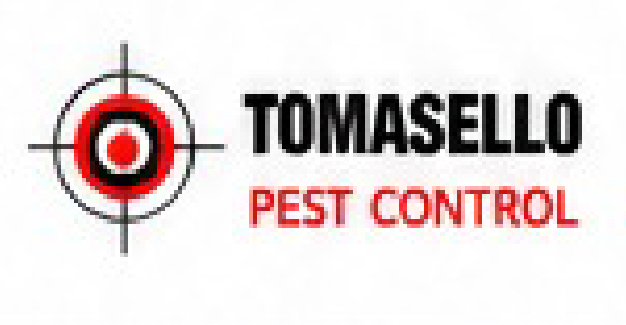 Tomasello