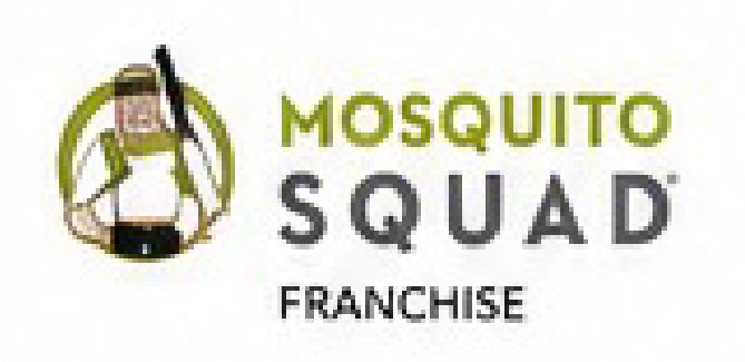 Mosquito